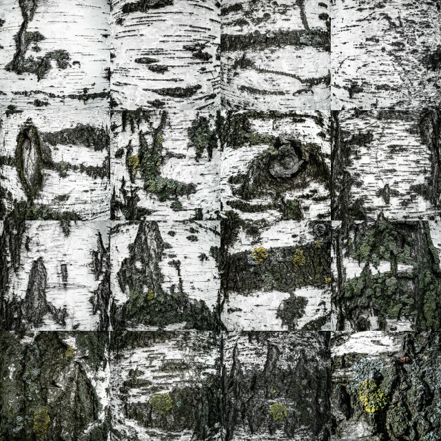 Яна Каменская