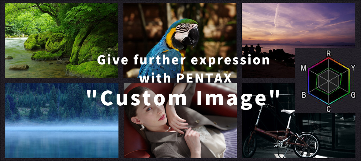 Отличительные особенности режимов Custom Image