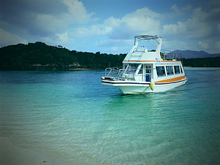 Toy Camera