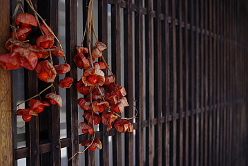 Photo by Shinichi Hanawa