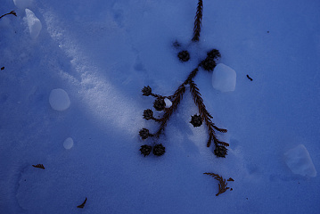 Photo by Shinichi Hanawa