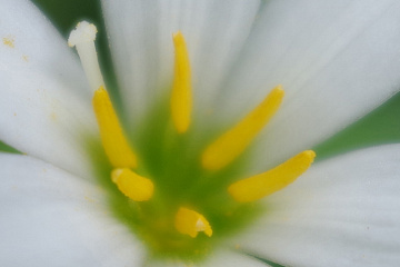 F2.4